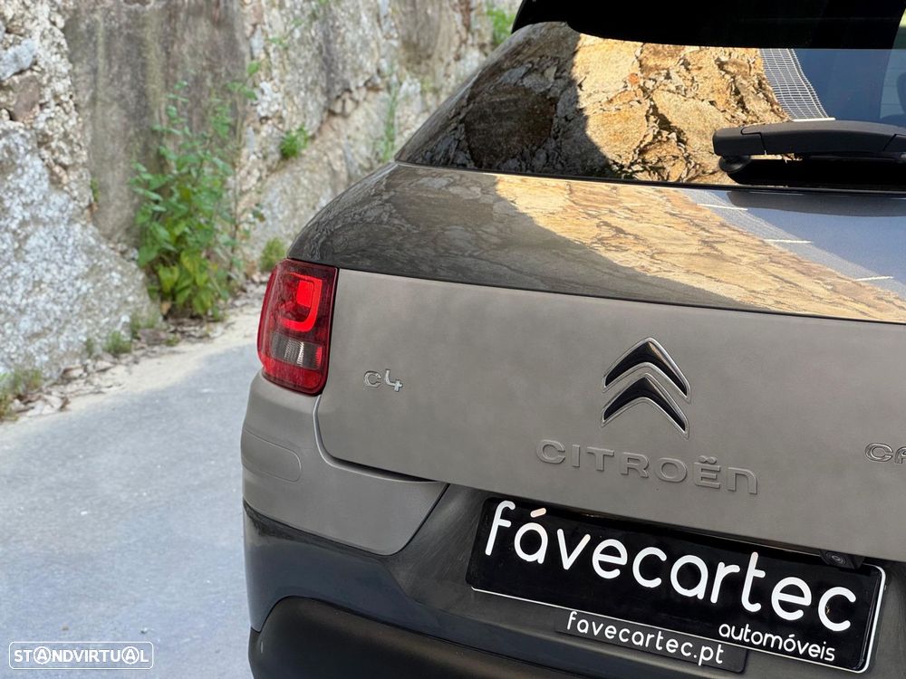 Citroën C4 Cactus 1.6 BlueHDi Shine - 20