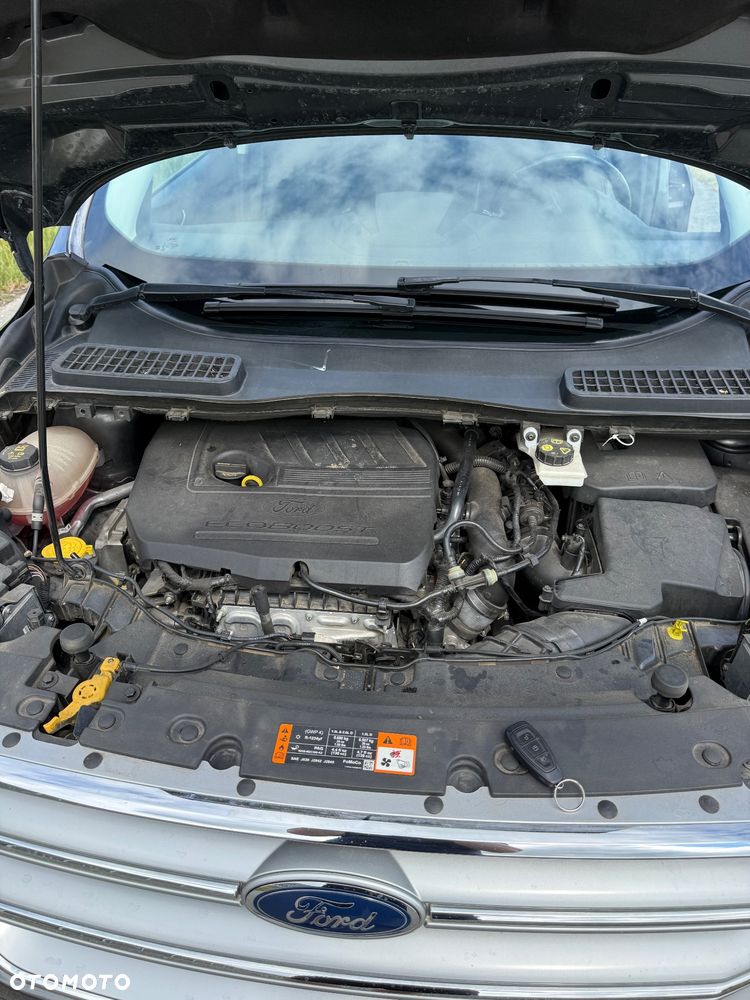 Ford Kuga 1.5 EcoBoost FWD Edition ASS GPF - 16