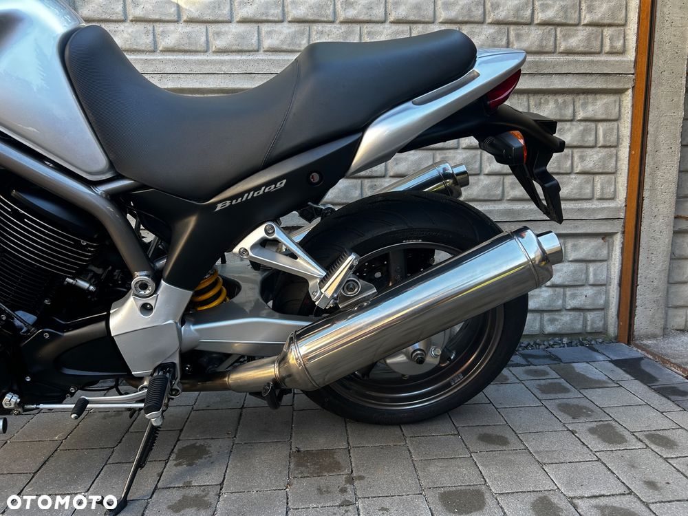 Yamaha Bulldog - 20