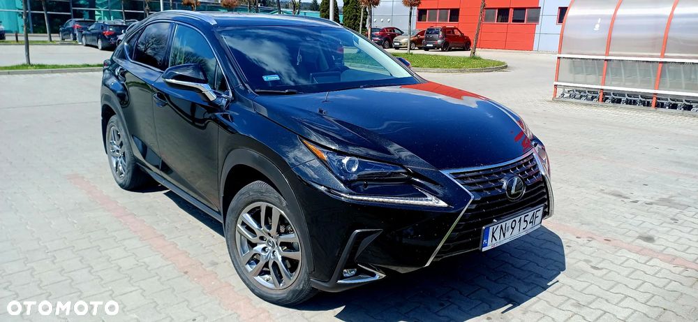 Lexus NX 300 - 4