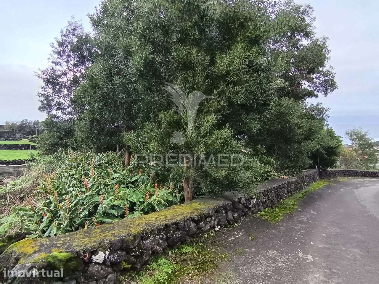 Terreno Agrícola, para venda, na Prainha, São Roque do Pico - Grande imagem: 2/14