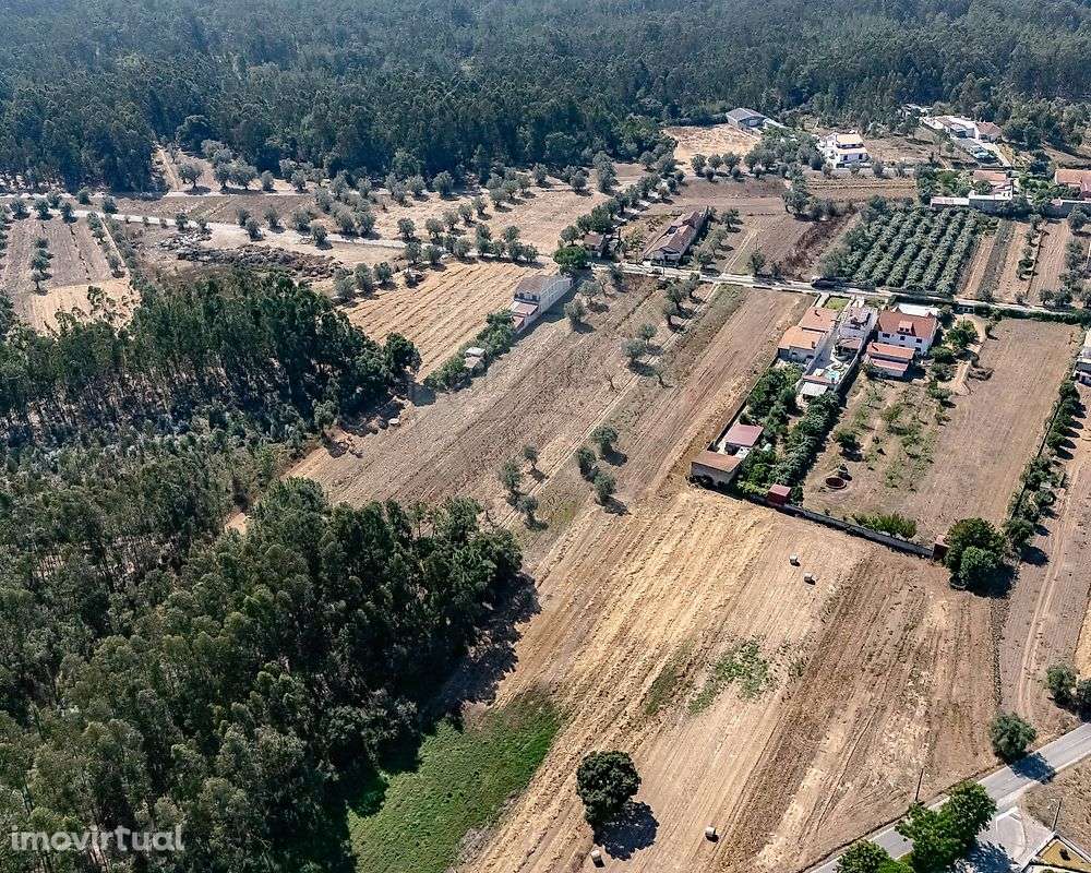 Terreno  para venda - Grande imagem: 5/13