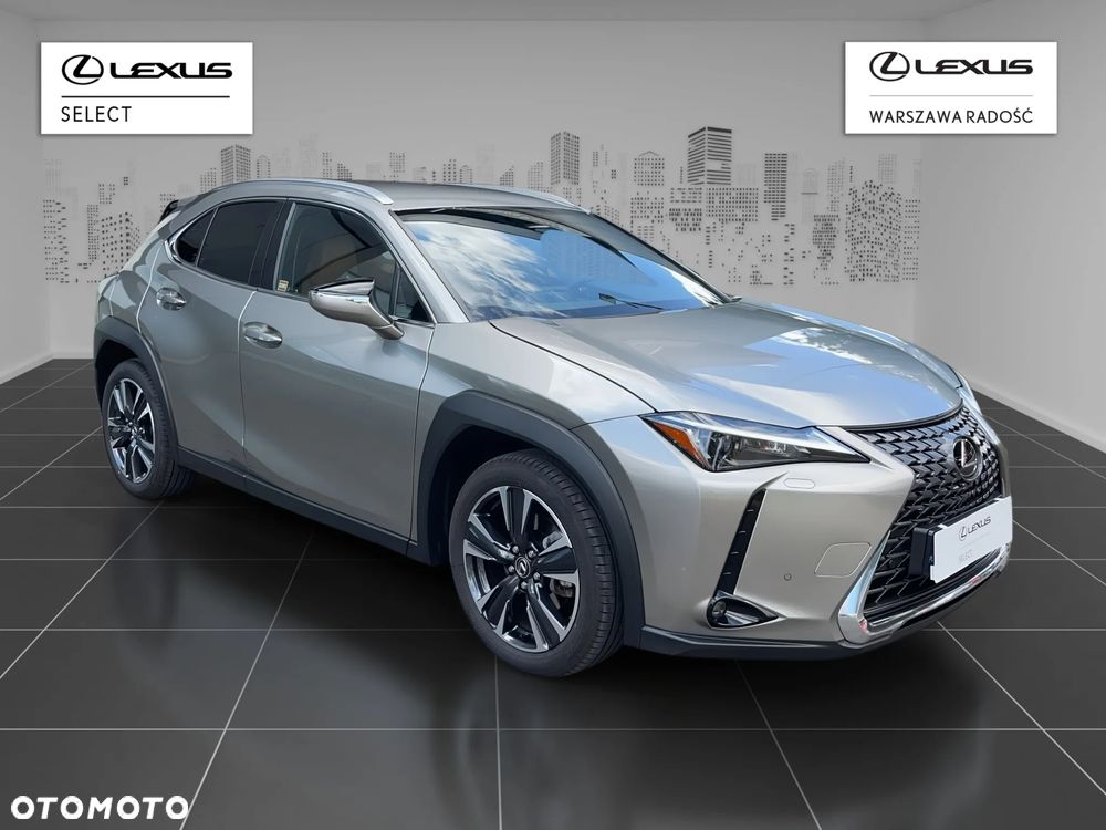 Lexus UX 300h Business - 2