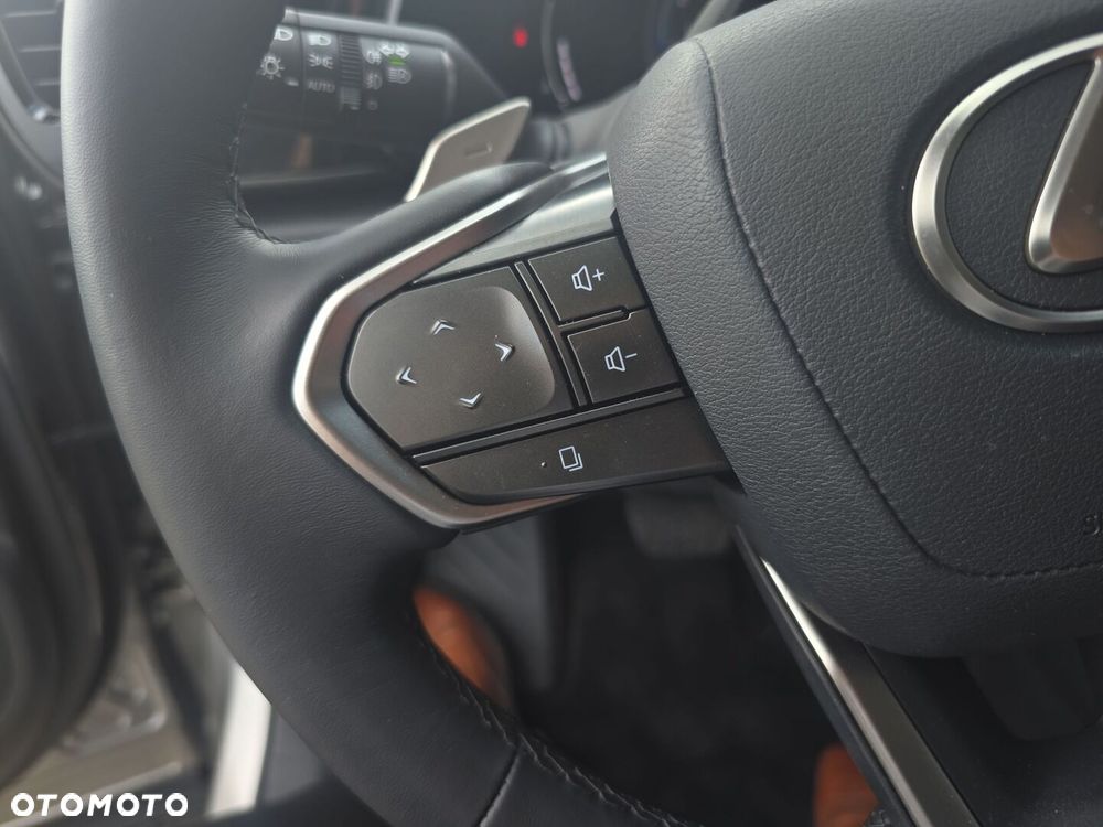 Lexus NX - 10