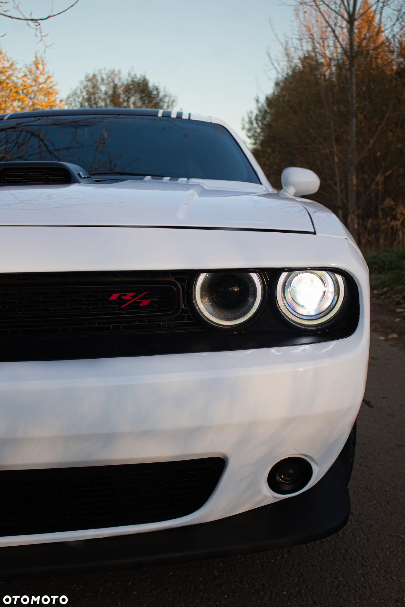 Dodge Challenger Automatik R/T Plus Shaker - 12