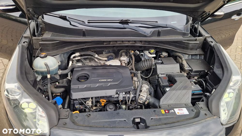 Kia Sportage - 14