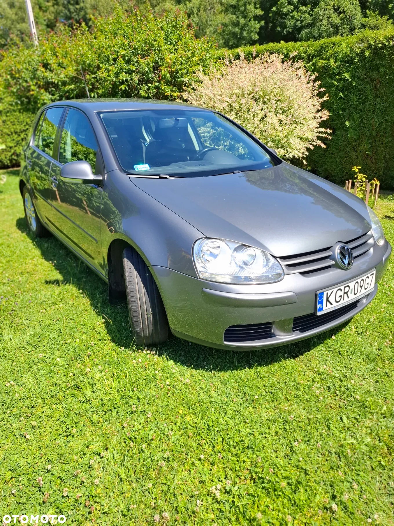 Volkswagen Golf V 1.6 Trendline - 2