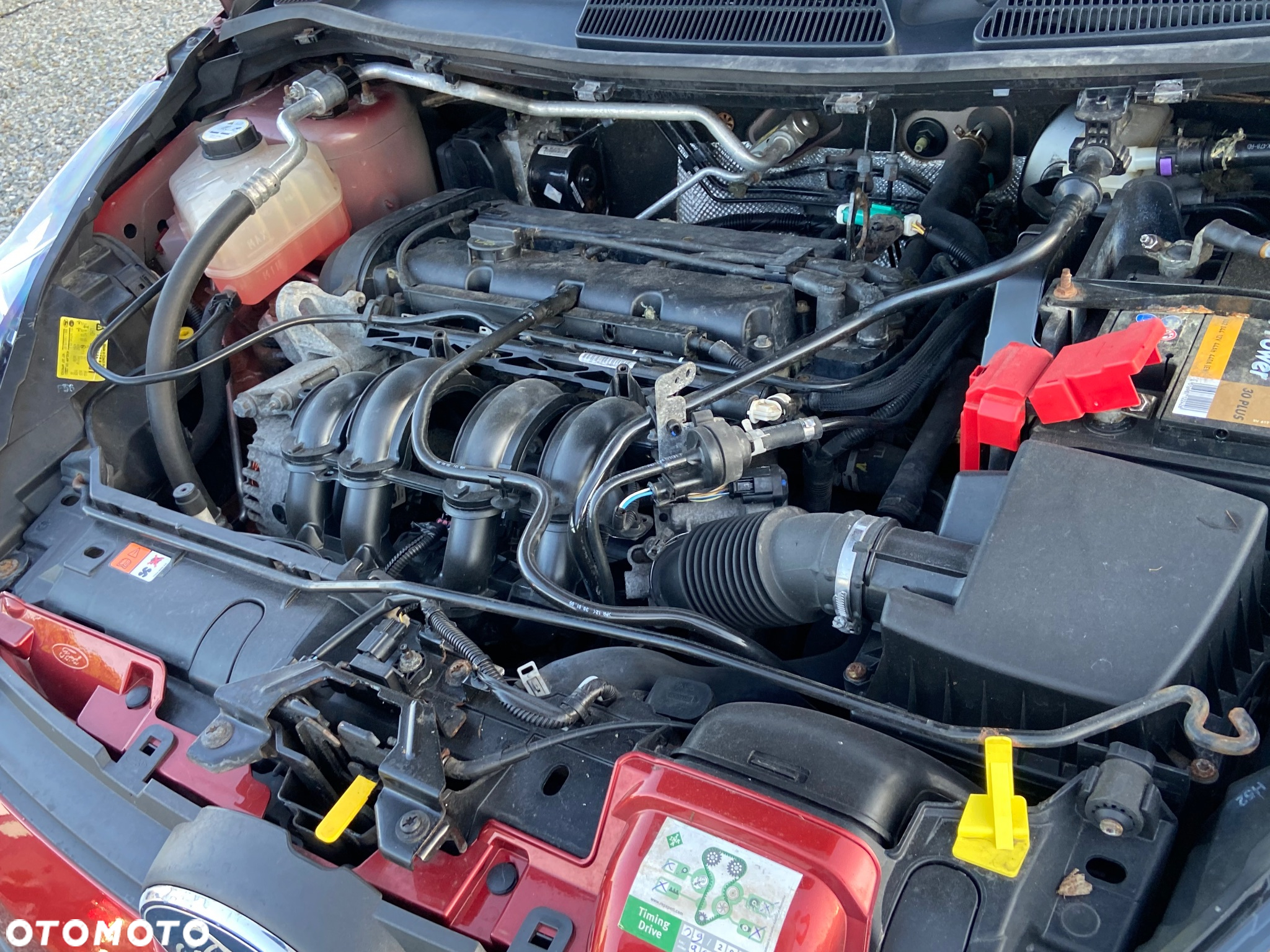 Ford Fiesta 1.25 Ghia - 12
