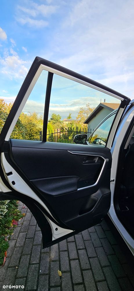 Toyota RAV4 2.5 Hybrid Active 4x2 - 19