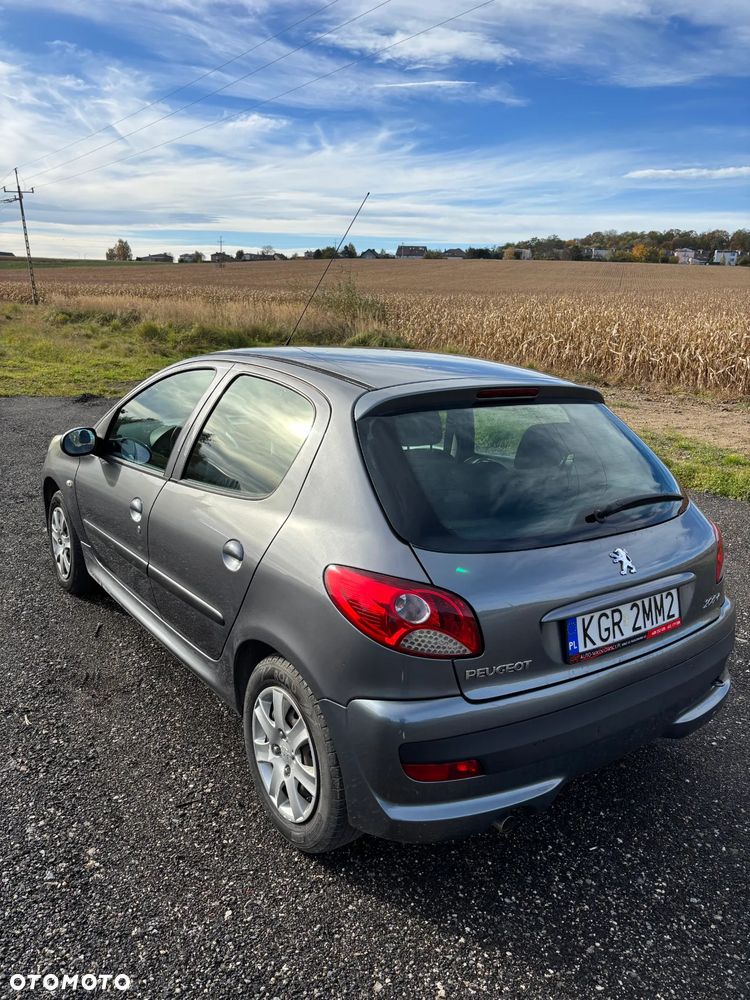 Peugeot 206 plus - 5