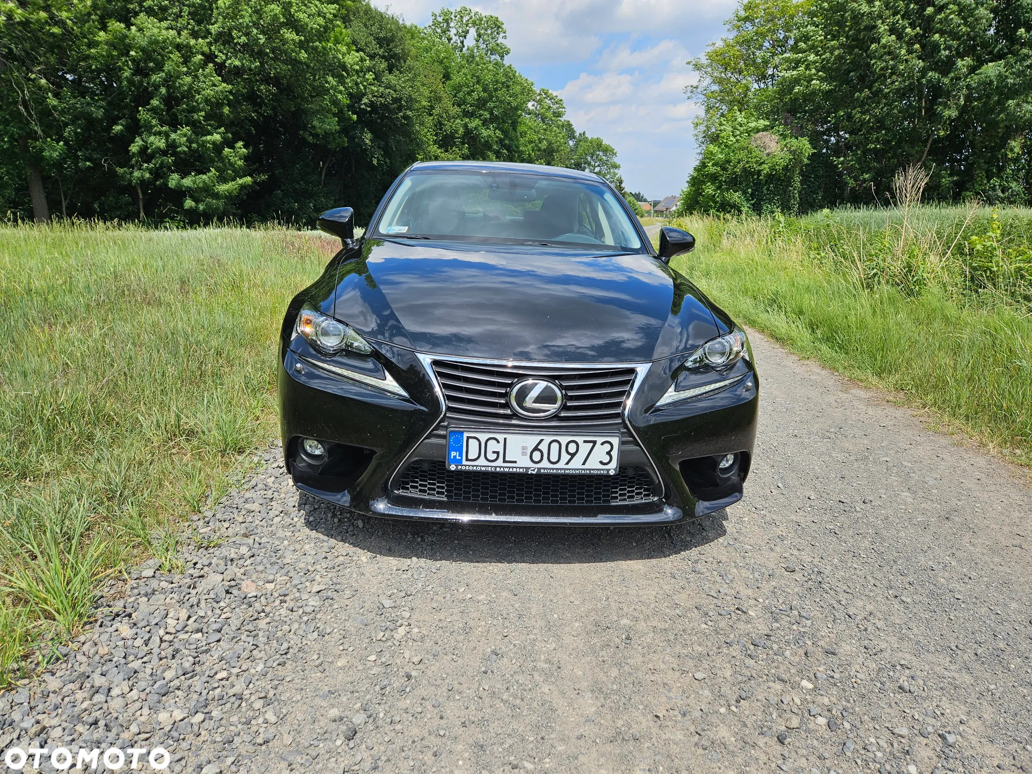 Lexus IS 200t Elegance - 7