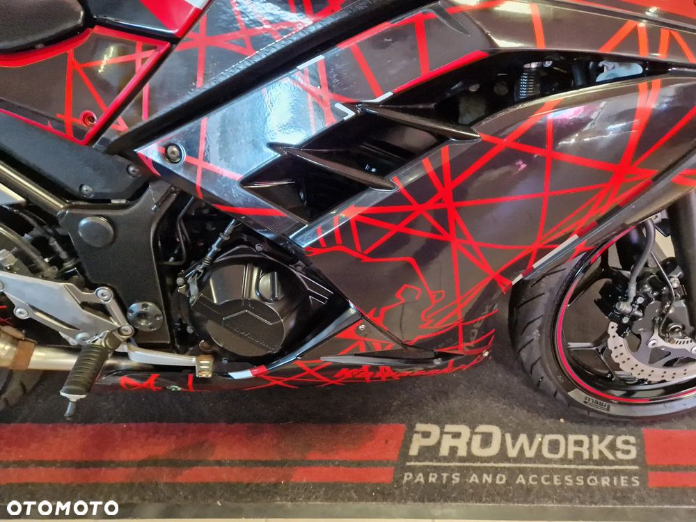 Kawasaki Ninja 300 ABS - 25