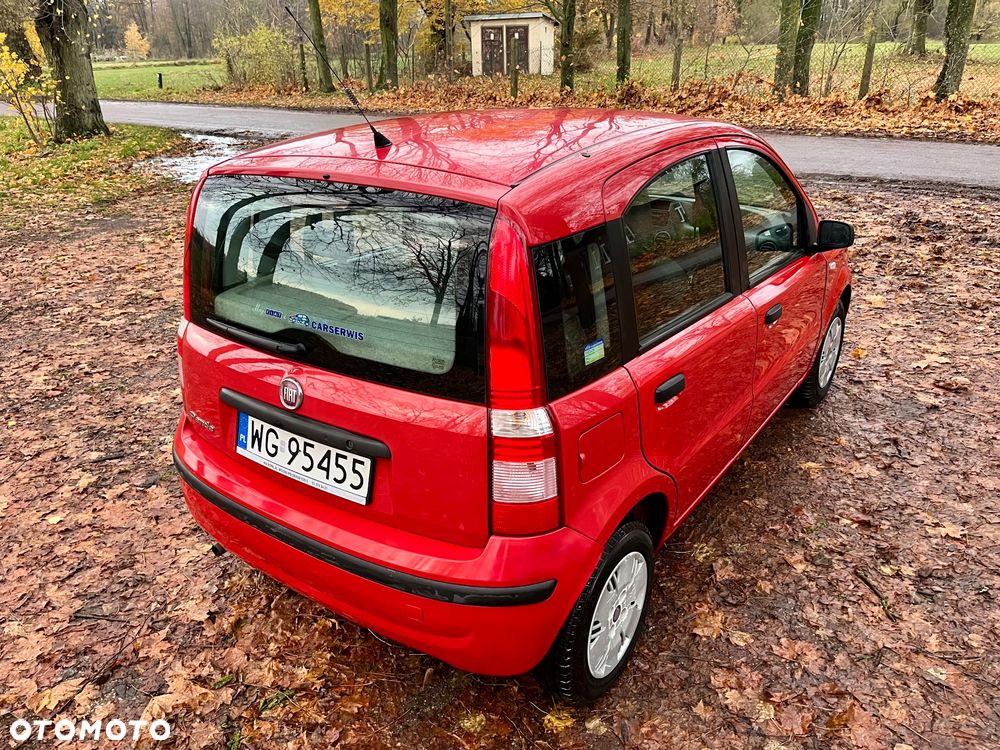 Fiat Panda 1.2 Active Eco - 13