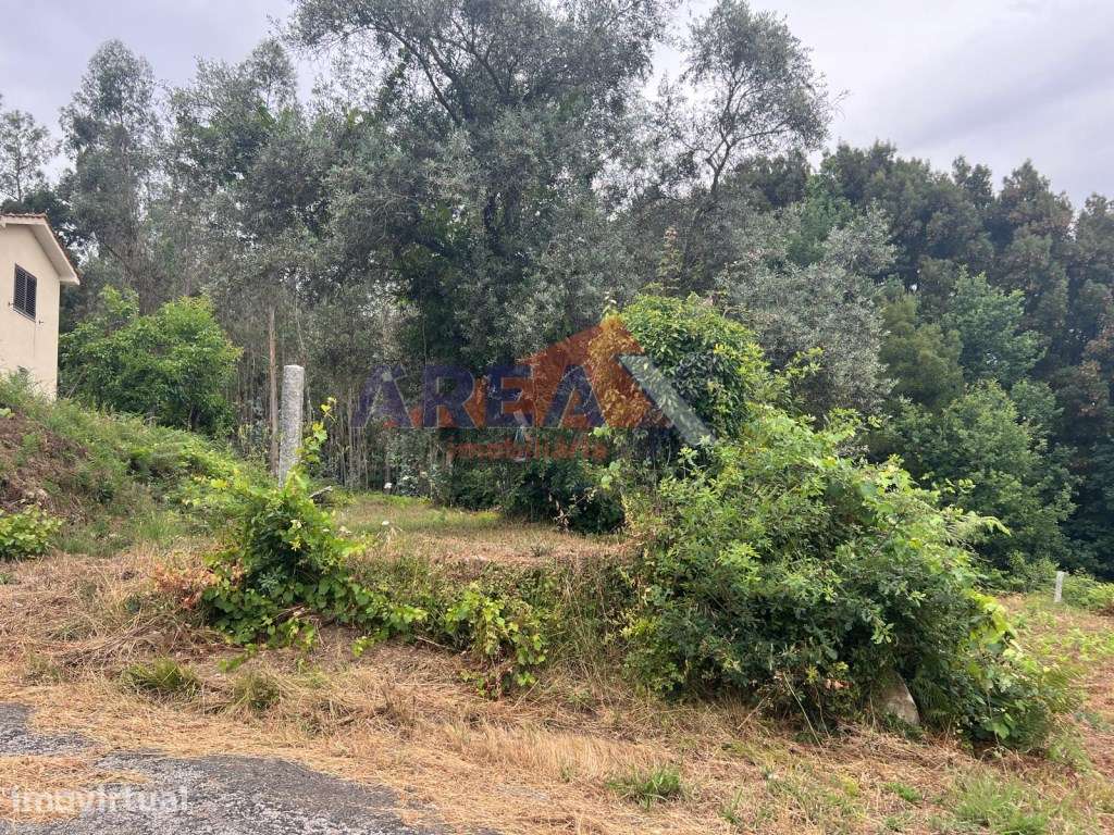 Terreno com projeto aprovado - Palmaz - Grande imagem: 3/13