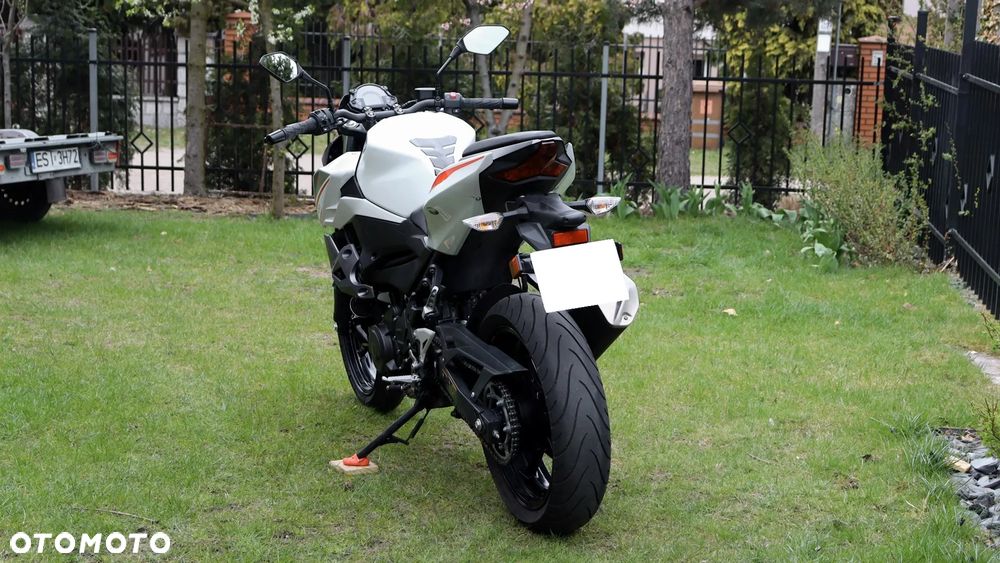 Kawasaki Z - 10