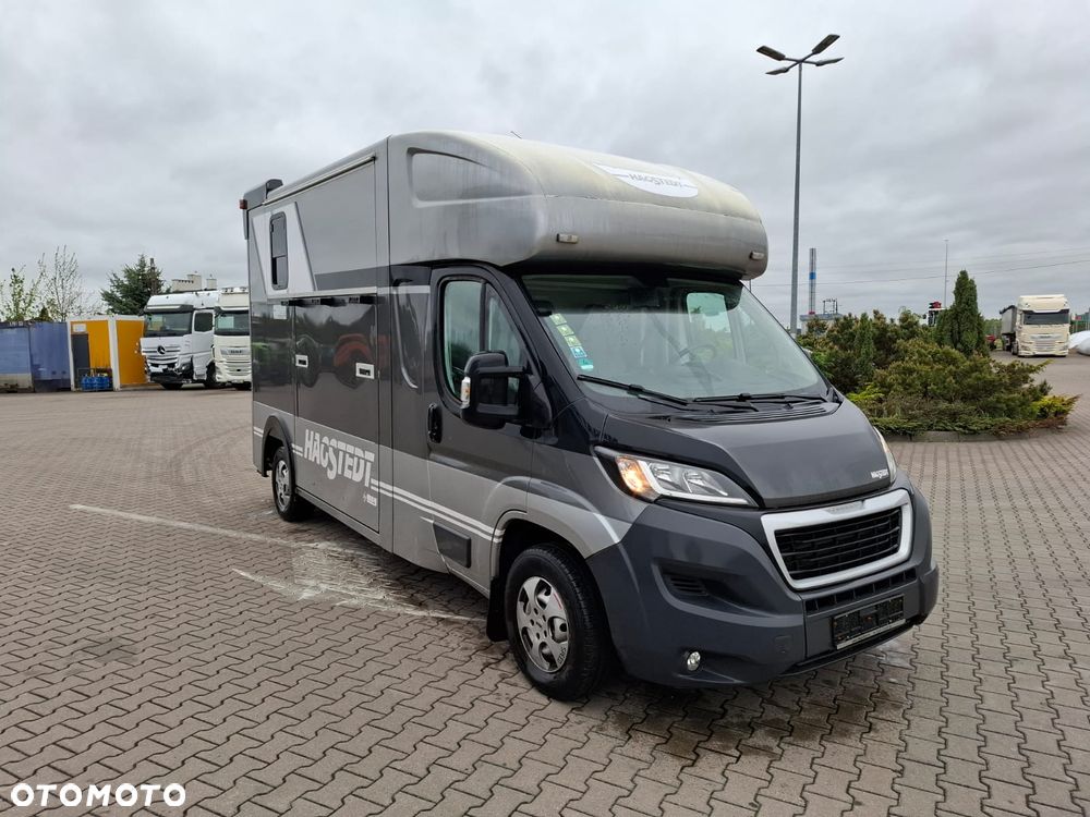 Peugeot BOXER 35, 2.0HDI / koniowóz Hagsted Horses - 1