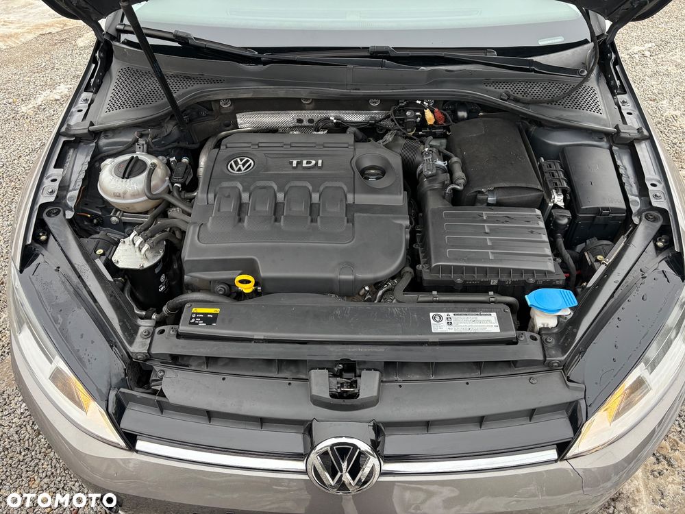 Volkswagen Golf 1.6 TDI BlueMotion Technology Cup - 20