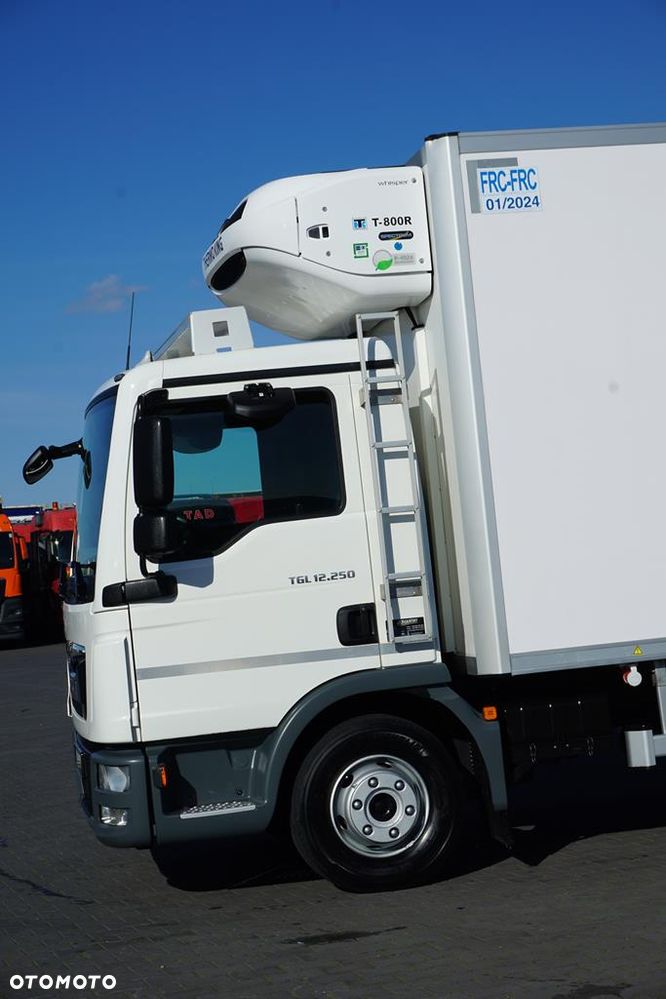 MAN TGL / 12.250 / ACC / EURO 6 / CHŁODNIA / 2 KOMOROWA - 33