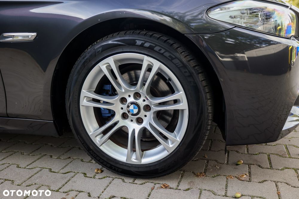 BMW Seria 5 520d Blue Performance - 9