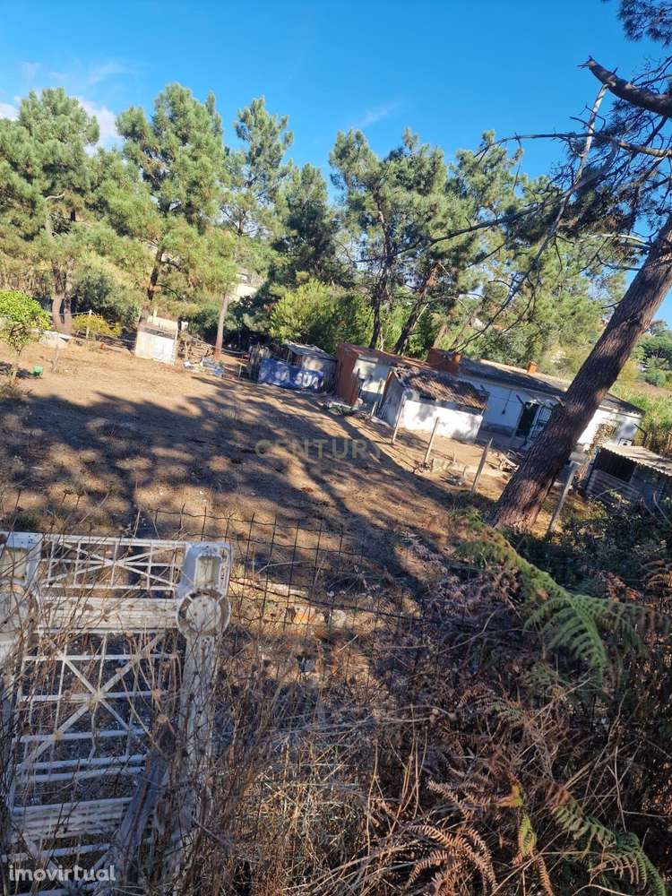 Terreno Rústico Quinta da Rosa - Grande imagem: 4/8