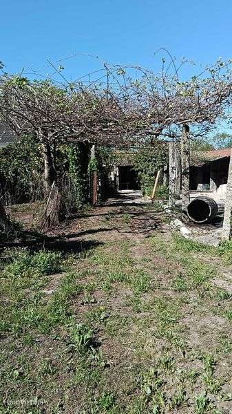 Exklusives Einfamilienhaus in Portugal zu verkaufen - Grande imagem: 5/7