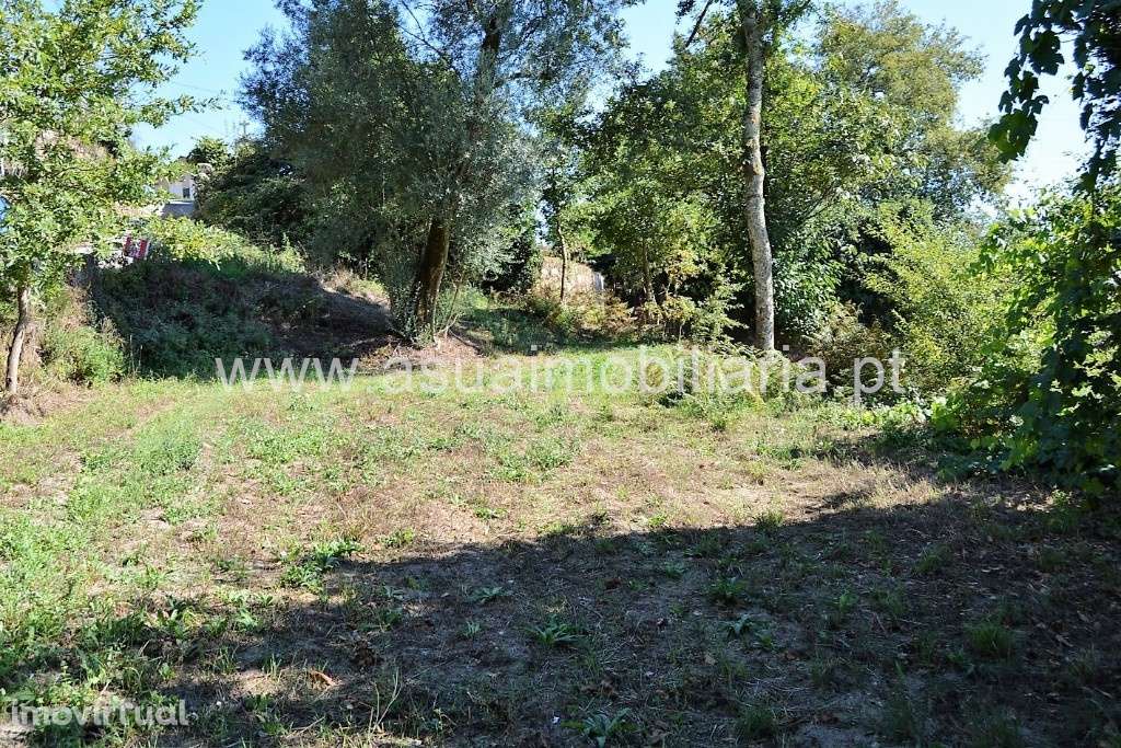 Terreno c/ Viabilidade de Construção - Fiscal - Grande imagem: 4/9