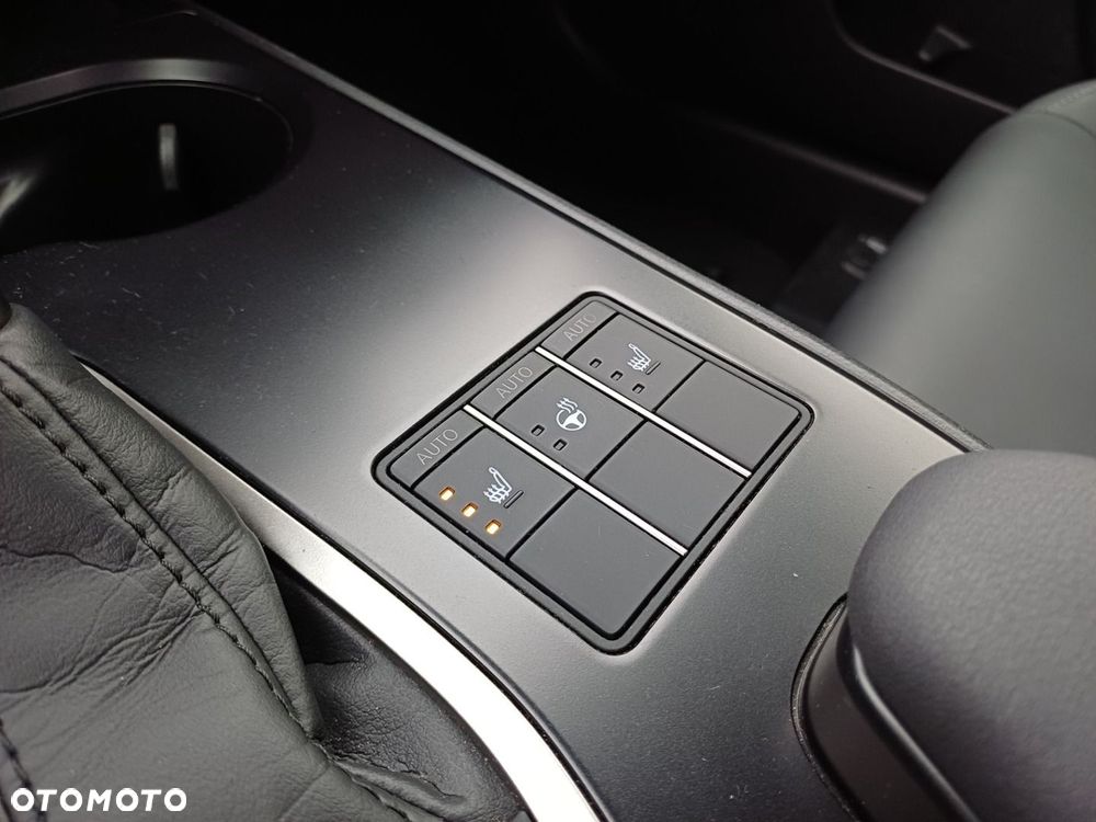 Lexus UX 250h GPF F Sport Design 2WD - 18