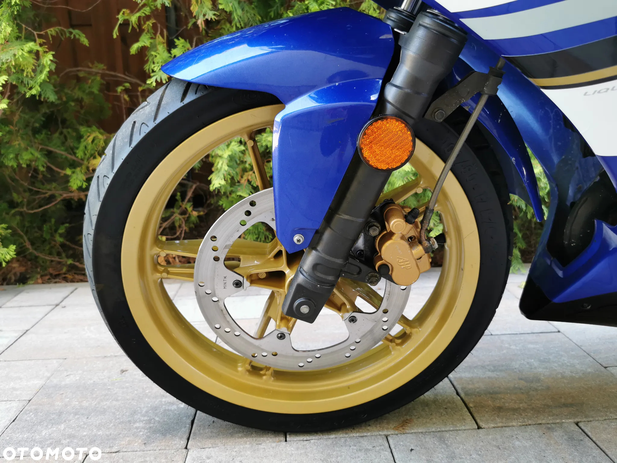 Yamaha TZR - 15
