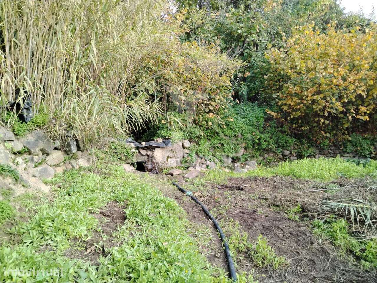 Terreno Carreiras - Grande imagem: 4/10