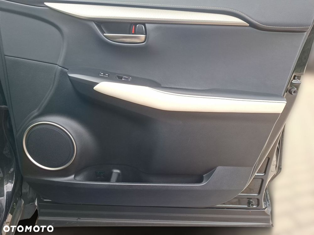 Lexus NX 300 GPF F Sport AWD - 20
