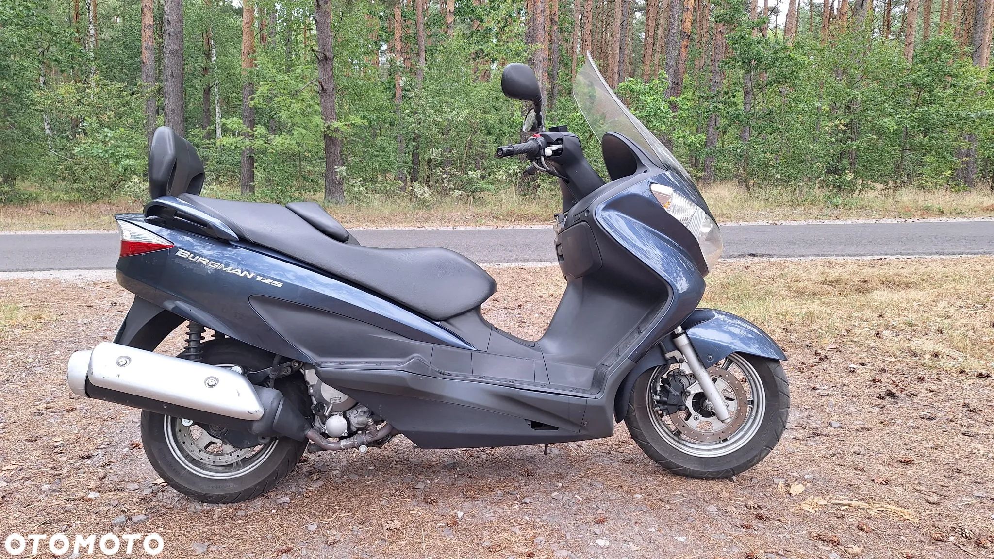 Suzuki Burgman - 1