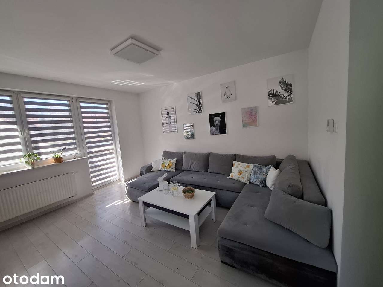 OKAZJA! Apartament na Zamkniętym Osiedlu przy lesie. Komórka GRATIS! - Pełny obrazek: 3/13