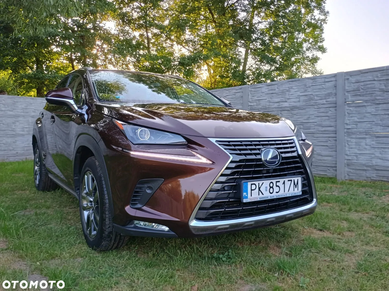 Lexus NX 300h Elegance AWD - 2