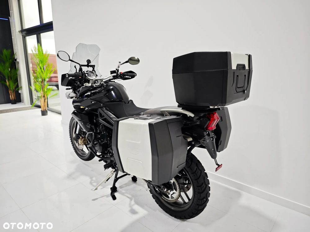 Triumph Tiger - 15