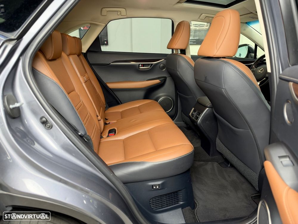Lexus NX 300h Executive Plus - 24