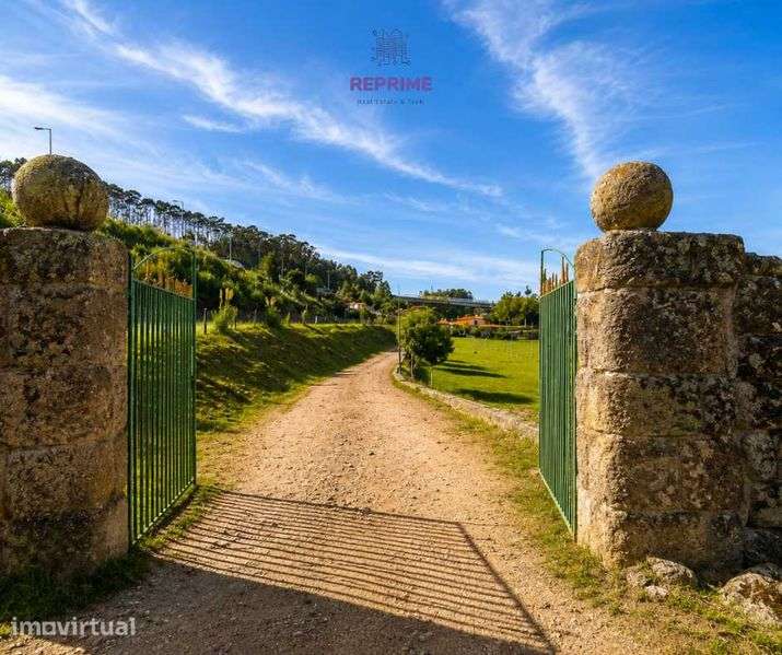 T5 - Quinta Amarela - Pedroso - Grande imagem: 2/5