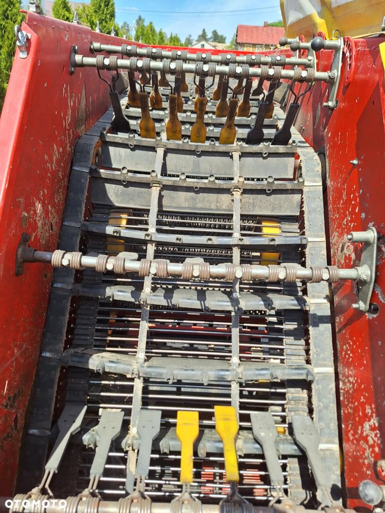 Akpil kartofel - 11