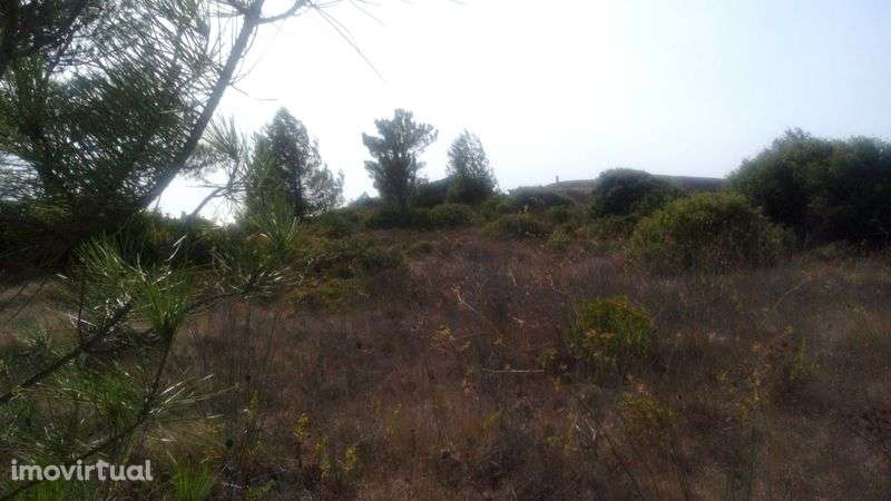 Terreno com 1125m2 Na Estrada do Vale Cancela Ericeira - Grande imagem: 2/6