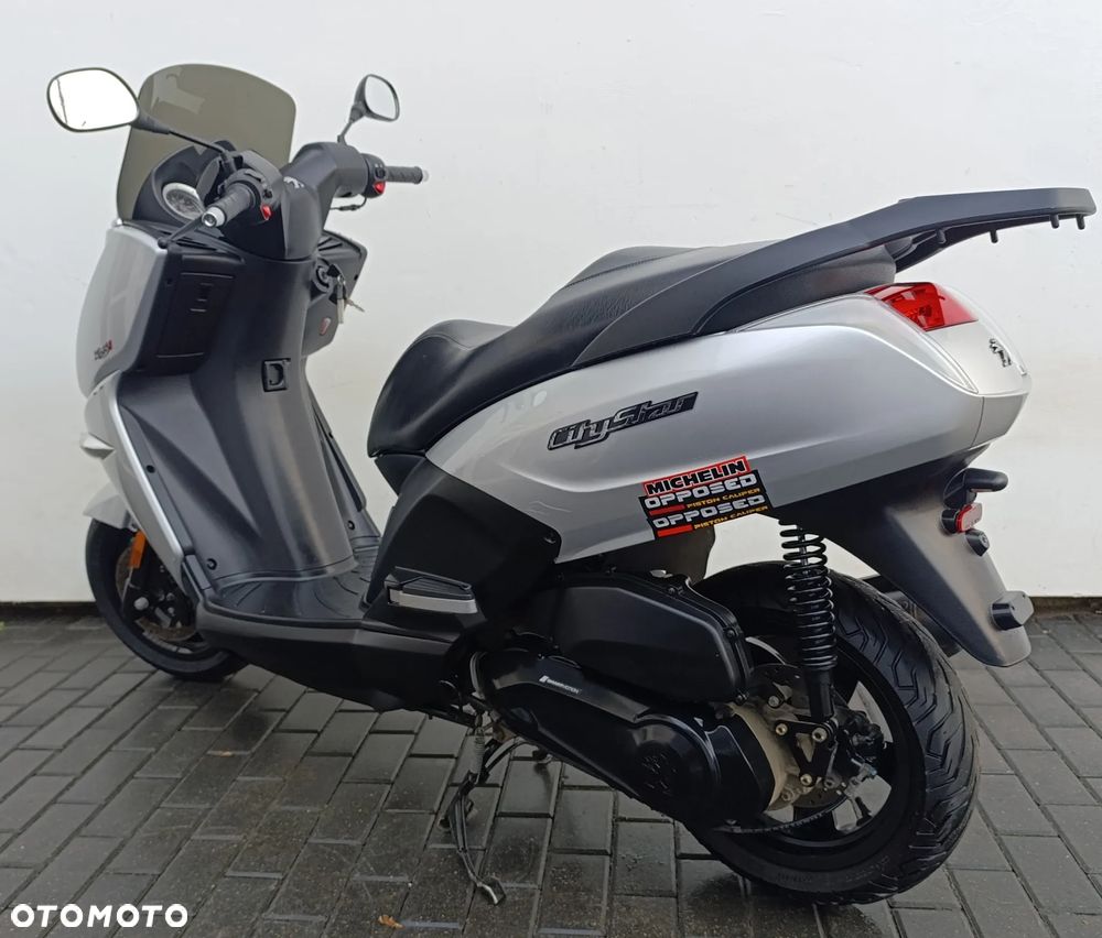 Peugeot Citystar - 5