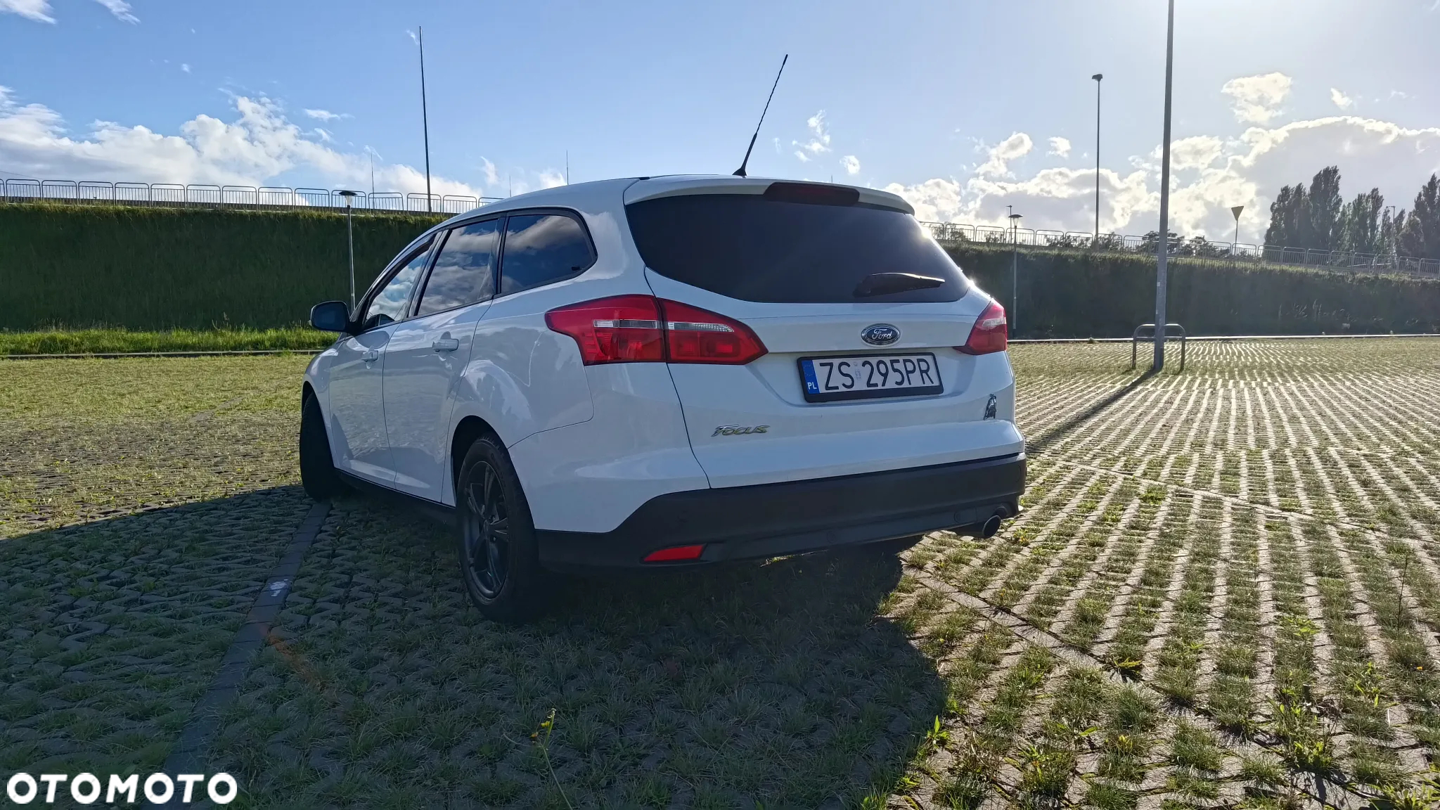 Ford Focus - 5