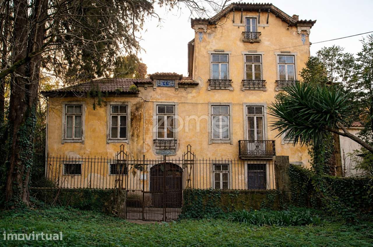 Quinta com edifício em ruinas e terreno com 14666 m2 - Grande imagem: 2/53