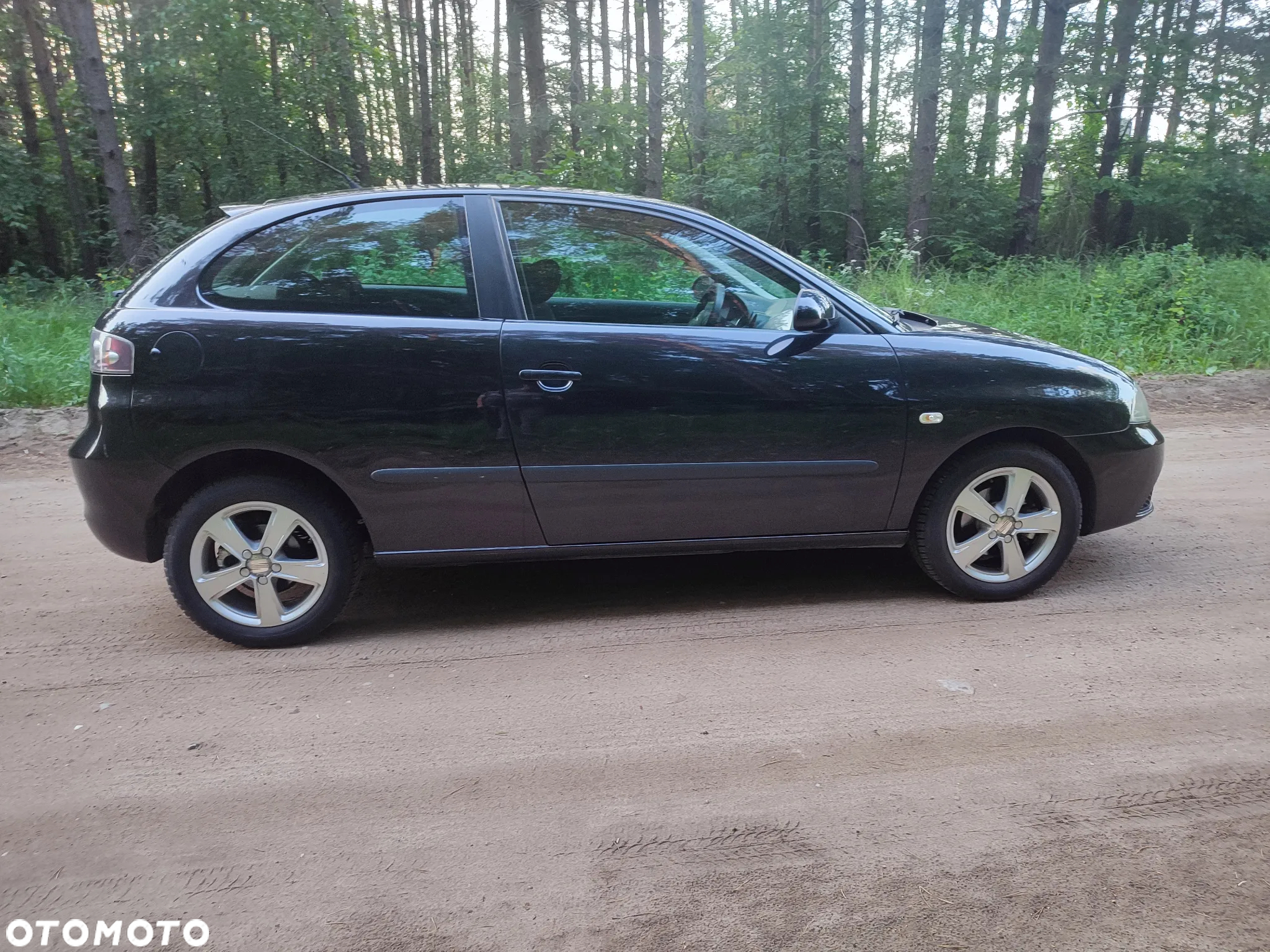 Seat Ibiza - 6