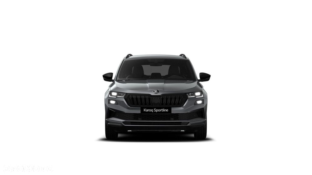 Skoda Karoq - 6