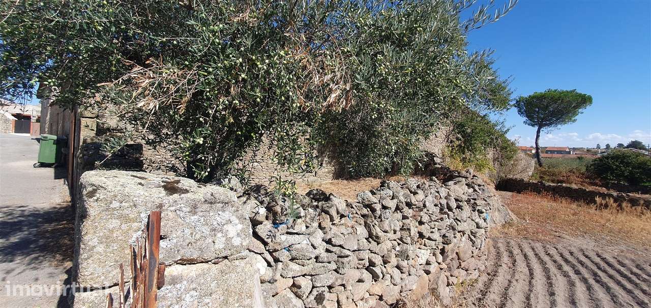 Armazém  Venda em Algodres, Vale de Afonsinho e Vilar de Amargo,Figuei - Grande imagem: 4/5