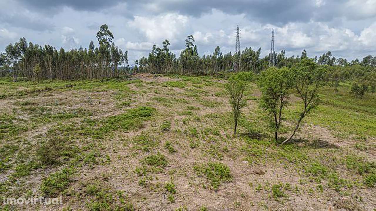 Terreno - Oleiros, Vila Verde - Grande imagem: 3/8