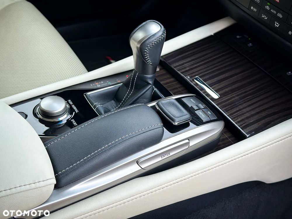 Lexus GS 200t / 300 Elegance - 38