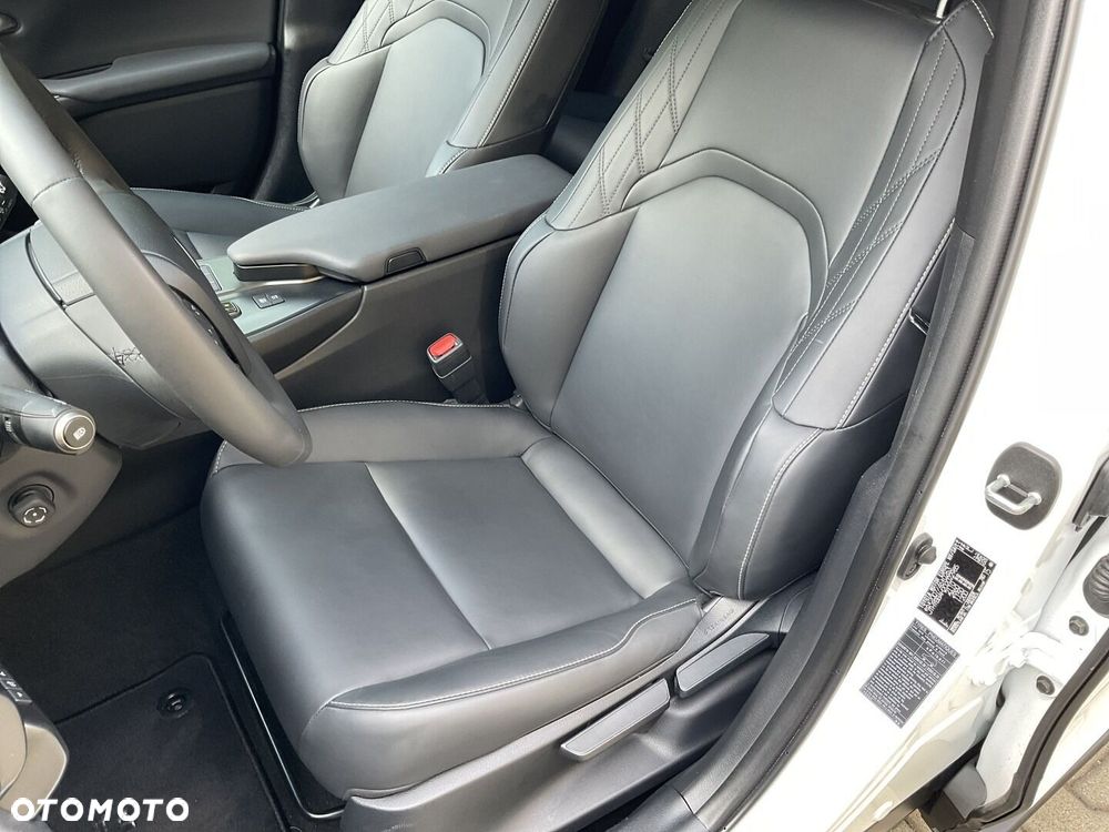 Lexus UX 300h F Sport Design - 17