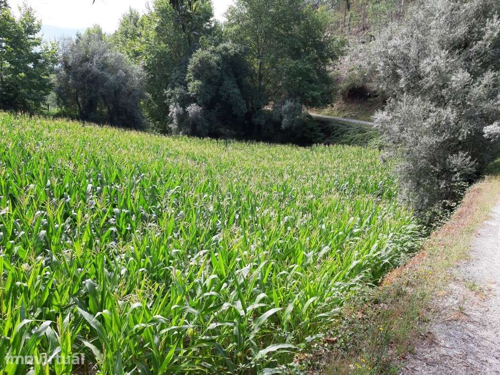 Terreno Agrícola - Valdosende - Grande imagem: 4/10