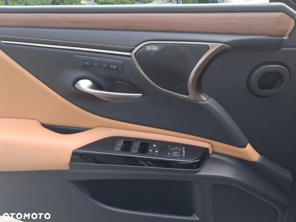 Lexus ES 300h Prestige - 14