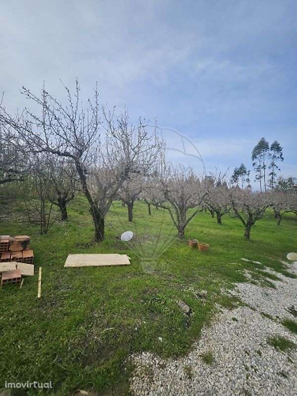 Terreno  para venda - Grande imagem: 4/12